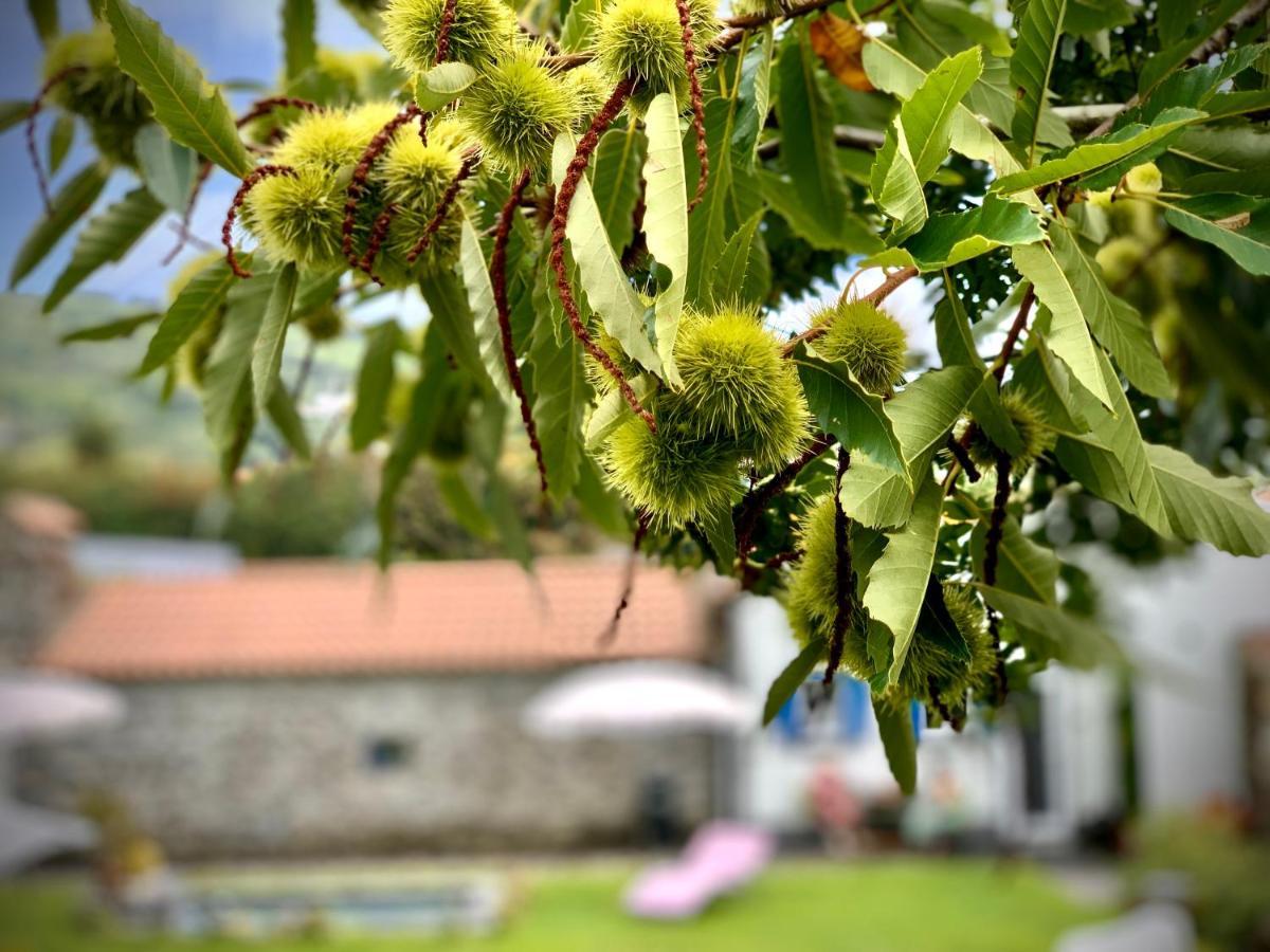 Casa Do Acor - Villaverde Azores Feteiras Kültér fotó