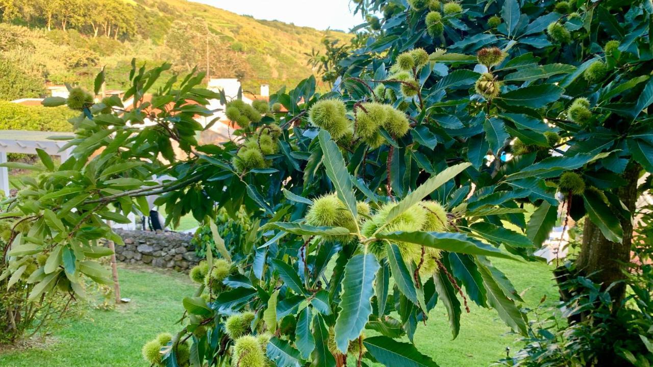 Casa Do Acor - Villaverde Azores Feteiras Kültér fotó